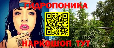 spice Мариинск